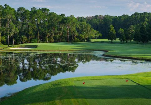 Walt Disney World Golf